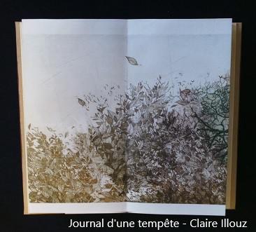 Journal-dune-tempete---Claire-Illouz2