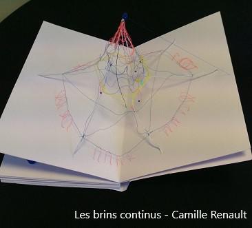 Les-brins-continus---Camille-Renault3
