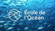 fb ecole ocean